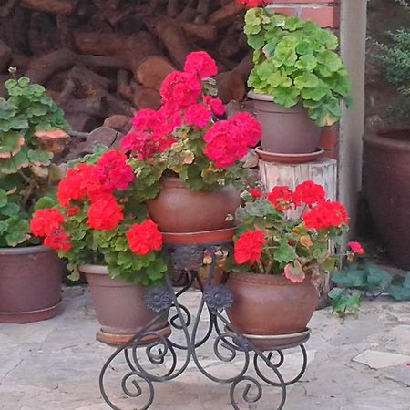 La Posada De Clotilde Cella Esterno foto