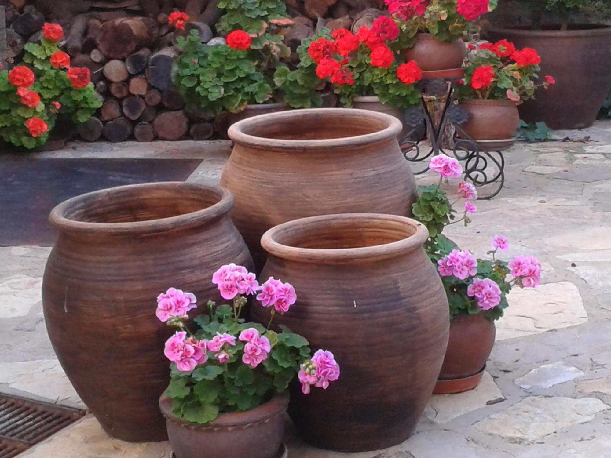 La Posada De Clotilde Cella Esterno foto
